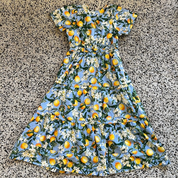 Anthropologie Somerset Maxi Dress Tiered Iris Blue Lemon Print Dress Women’s XL - Picture 12 of 14